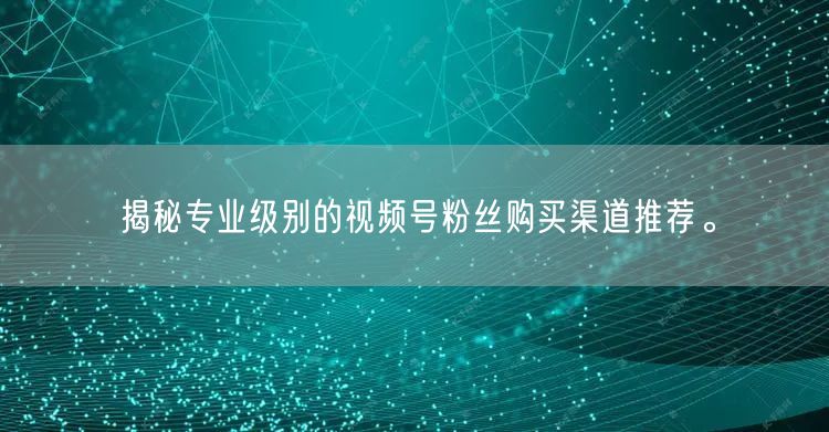 揭秘专业级别的视频号粉丝购买渠道推荐。