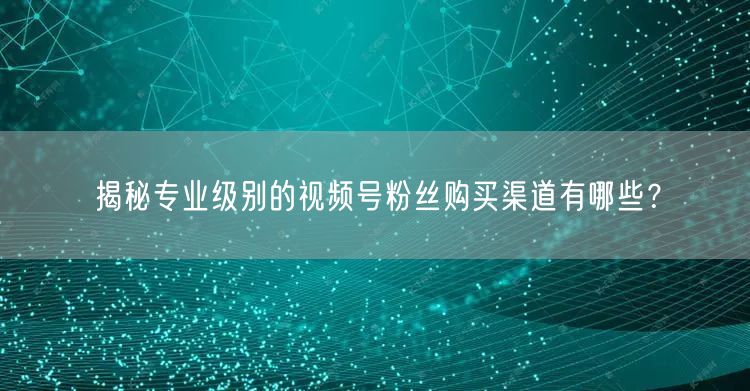 揭秘专业级别的视频号粉丝购买渠道有哪些？