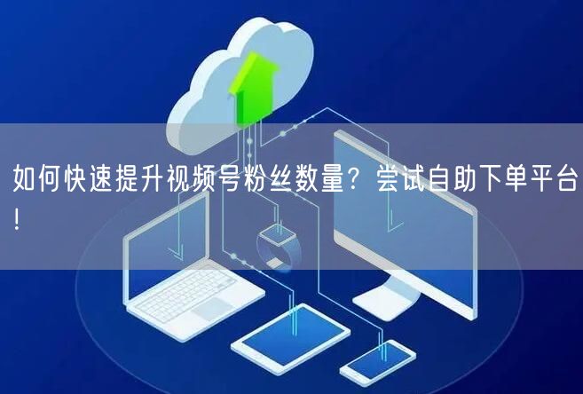 如何快速提升视频号粉丝数量?尝试自助下单平台!
