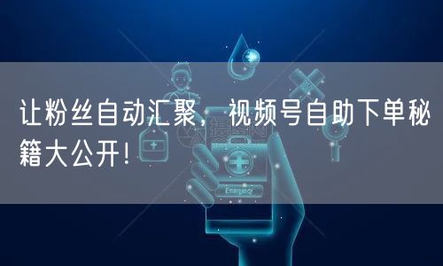 让粉丝自动汇聚，视频号自助下单秘籍大公开！