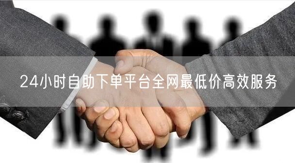24小时自助下单平台全网最低价高效服务
