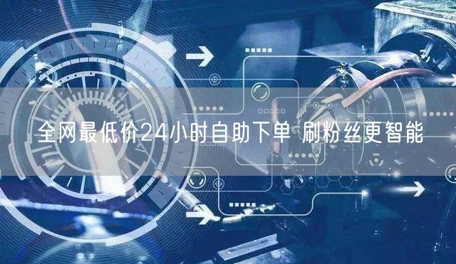 全网最低价24小时自助下单 刷粉丝更智能