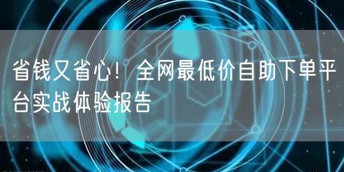 省钱又省心！全网最低价自助下单平台实战体验报告