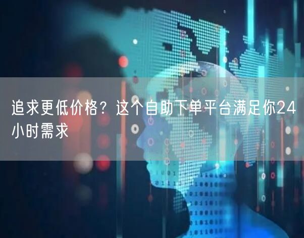 追求更低价格？这个自助下单平台满足你24小时需求