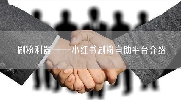 刷粉利器——小红书刷粉自助平台介绍