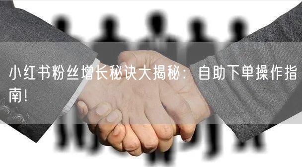 小红书粉丝增长秘诀大揭秘：自助下单操作指南！