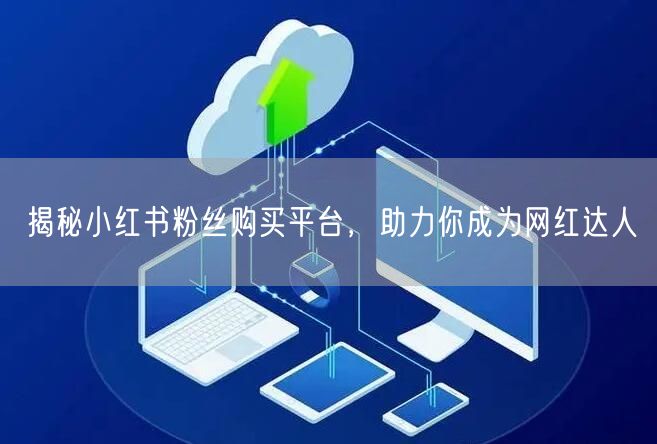 揭秘小红书粉丝购买平台，助力你成为网红达人