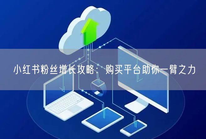 小红书粉丝增长攻略：购买平台助你一臂之力