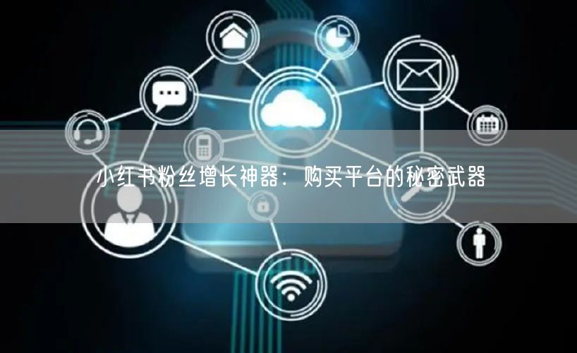 小红书粉丝增长神器：购买平台的秘密武器
