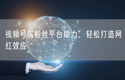 视频号买粉丝平台助力，轻松打造网红效应