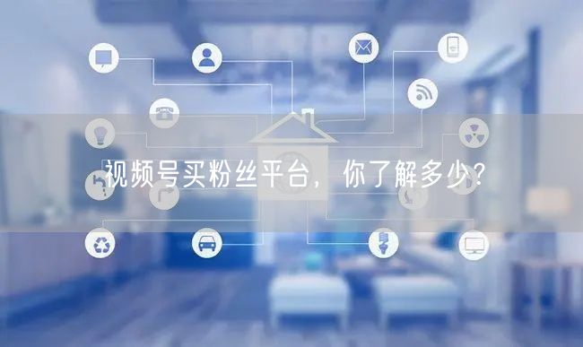 视频号买粉丝平台，你了解多少？