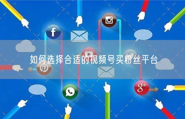 如何选择合适的视频号买粉丝平台
