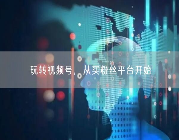 玩转视频号,从买粉丝平台开始