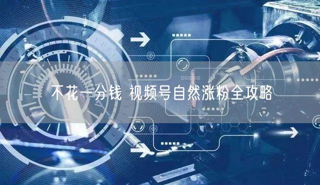 不花一分钱 视频号自然涨粉全攻略